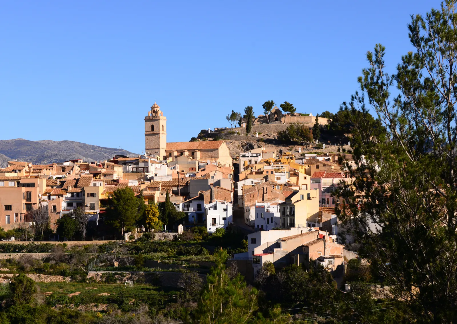 Pilar de la Horadada