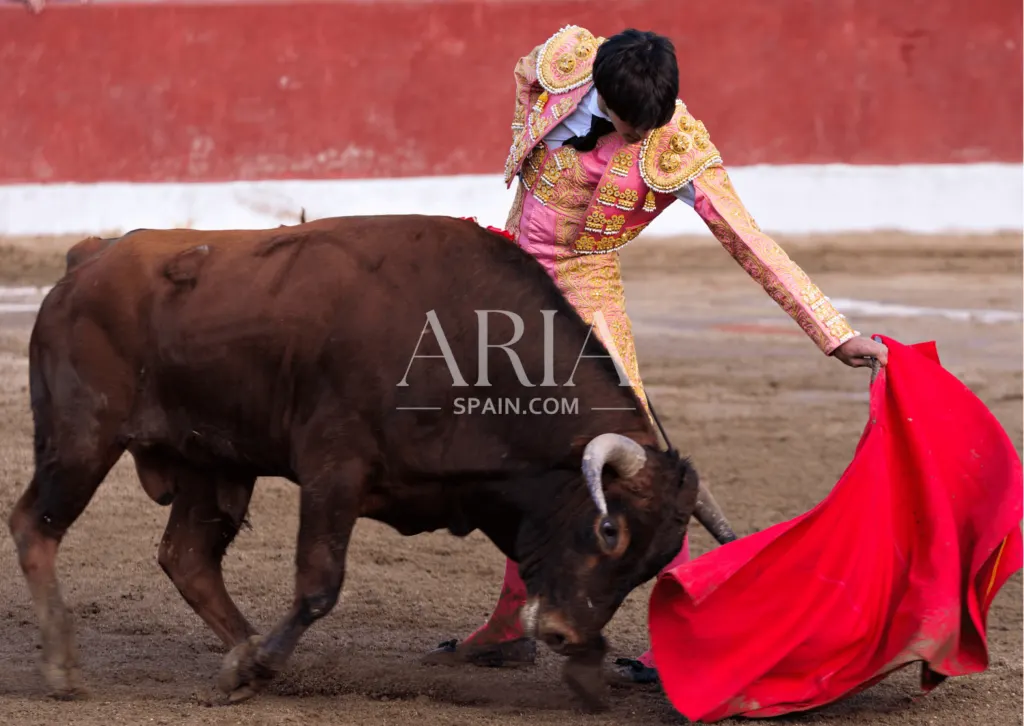 Wo finden in Spanien Corridas statt?