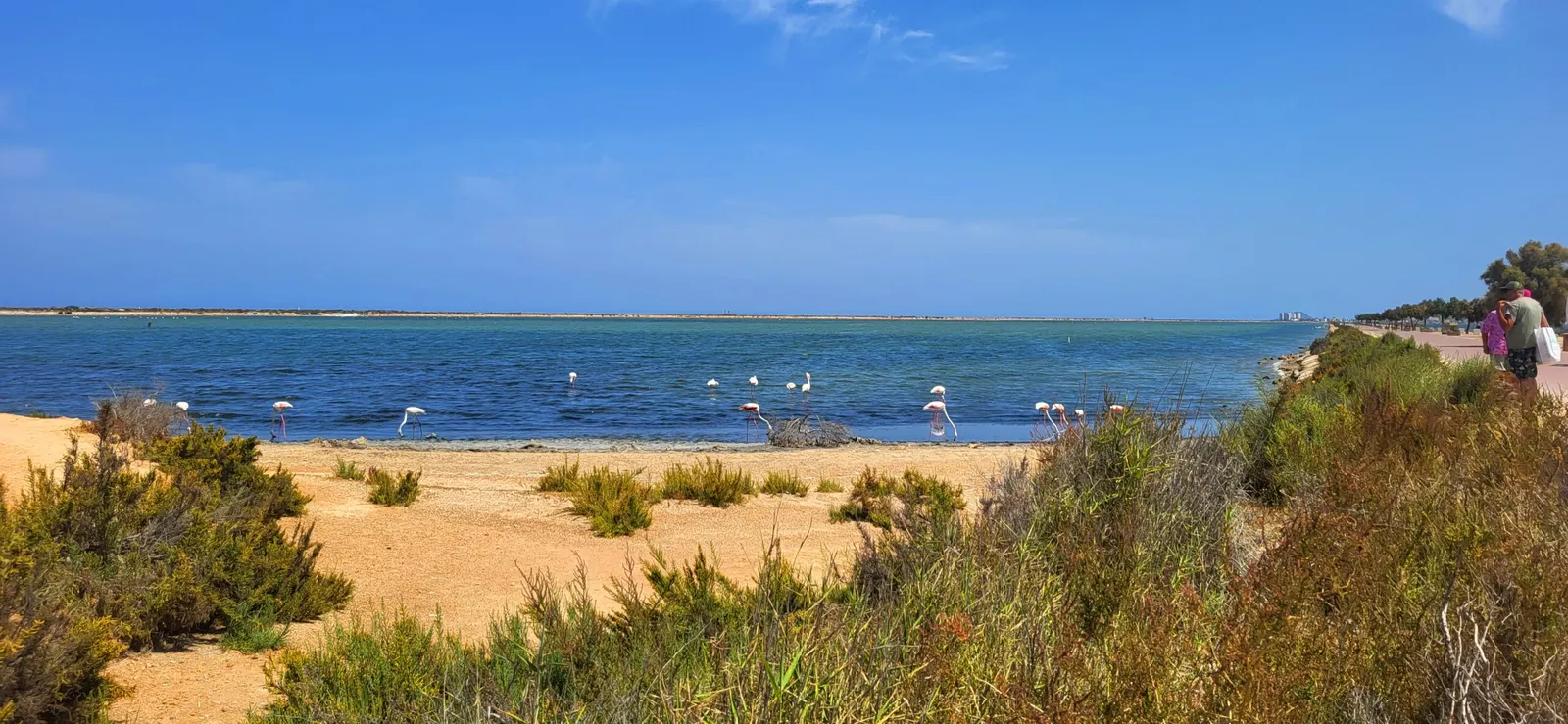 Lo Pagán in Spanien: Kurort mit Heilschlamm am Mar Menor