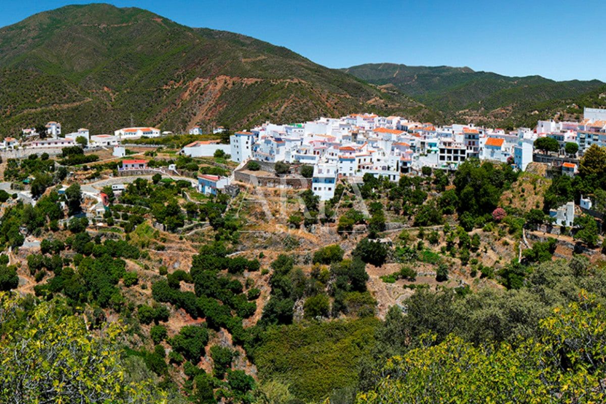 Almazara Views · Istán, Istán – Foto 5