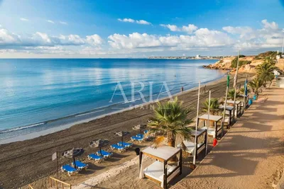 Bungalow à Torrevieja, Torrevieja – photo 45