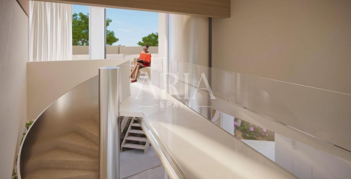 Mimosa · Orihuela, Orihuela – Foto 5