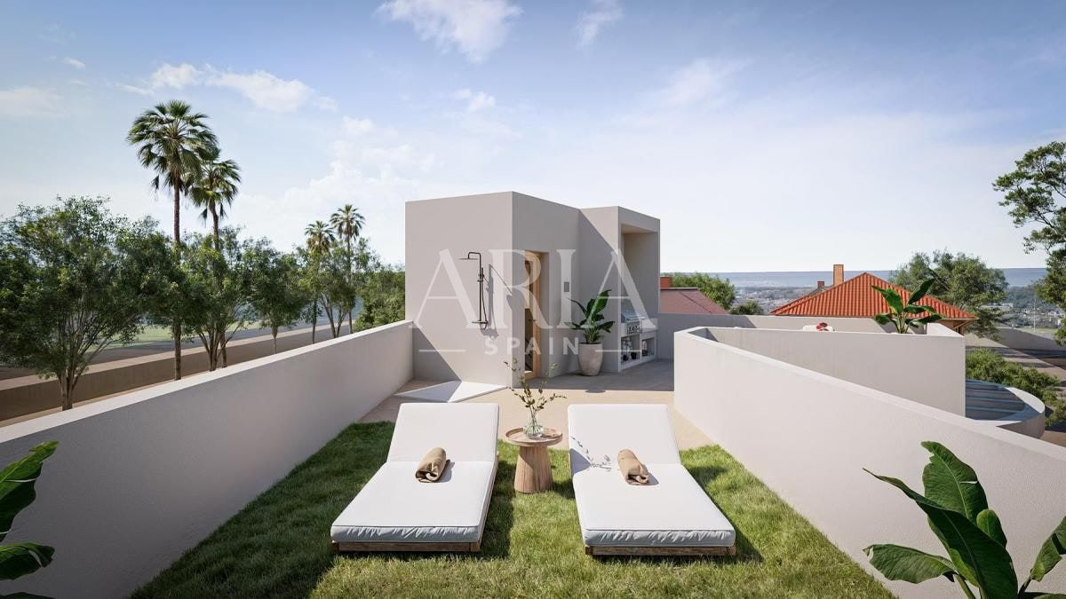 Lysandra · Orihuela, Orihuela – Foto 2