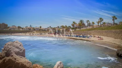 Bungalow à Torrevieja, Torrevieja – photo 41