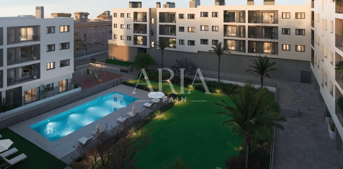 Estela · Alicante, Alicante – Foto 3