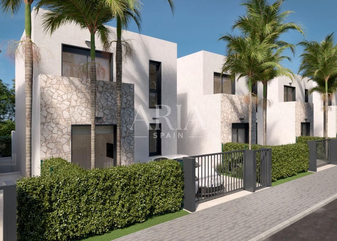 Areca · Torre Pacheco, Torre Pacheco – zdjęcie 3