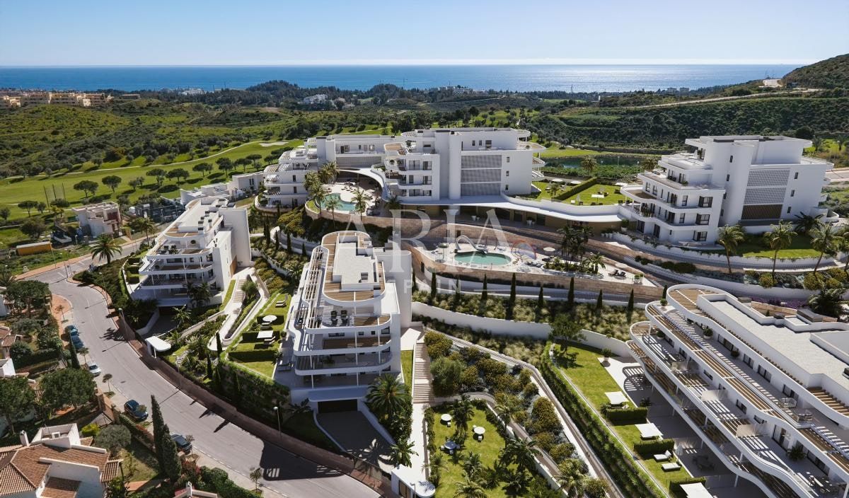 Cordia · Mijas