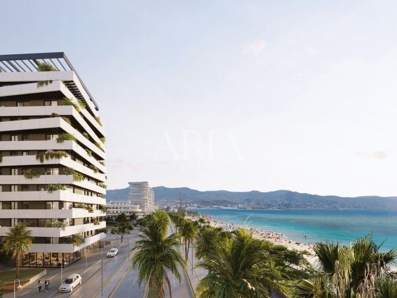 Octavia · Malaga, Malaga – Foto 5