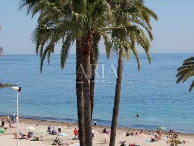Lejlighed i Calpe, Calpe – foto 24