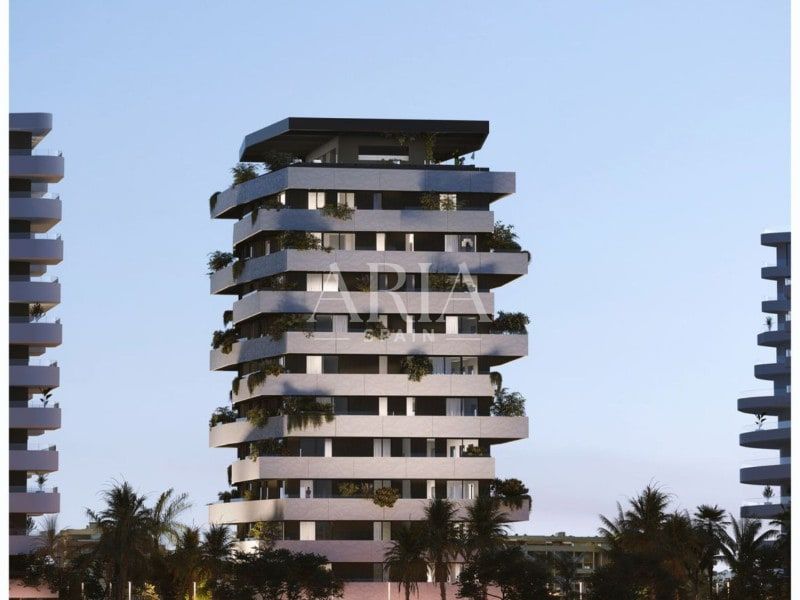 Octavia · Malaga, Malaga – Foto 6