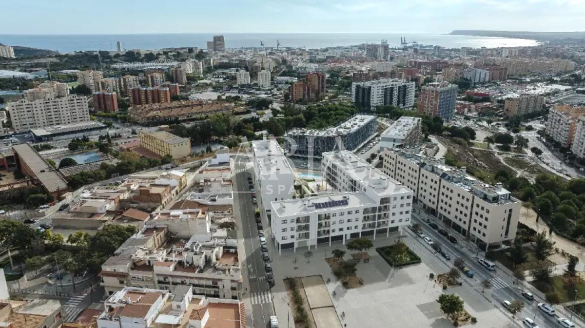 Volanta · Alicante, Alicante – zdjęcie 2