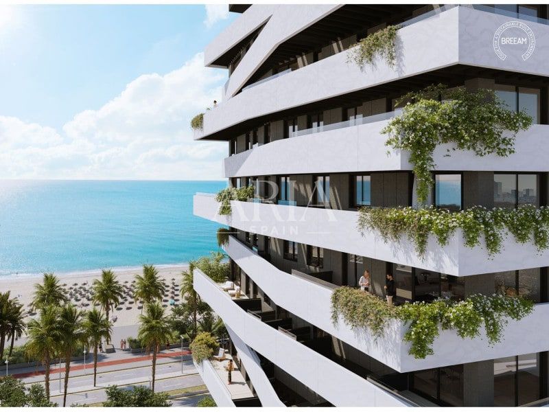 Octavia · Malaga, Malaga – Foto 2