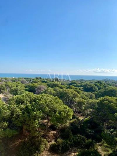 Apartment in Guardamar del Segura, Guardamar del Segura – photo 34